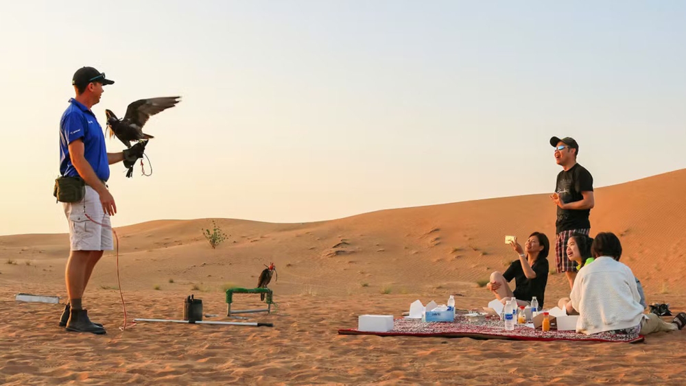 Evening Desert Safari with Vip Services
