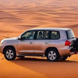 Arabian tour dune Bushing