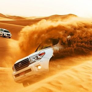 Dune Bushing