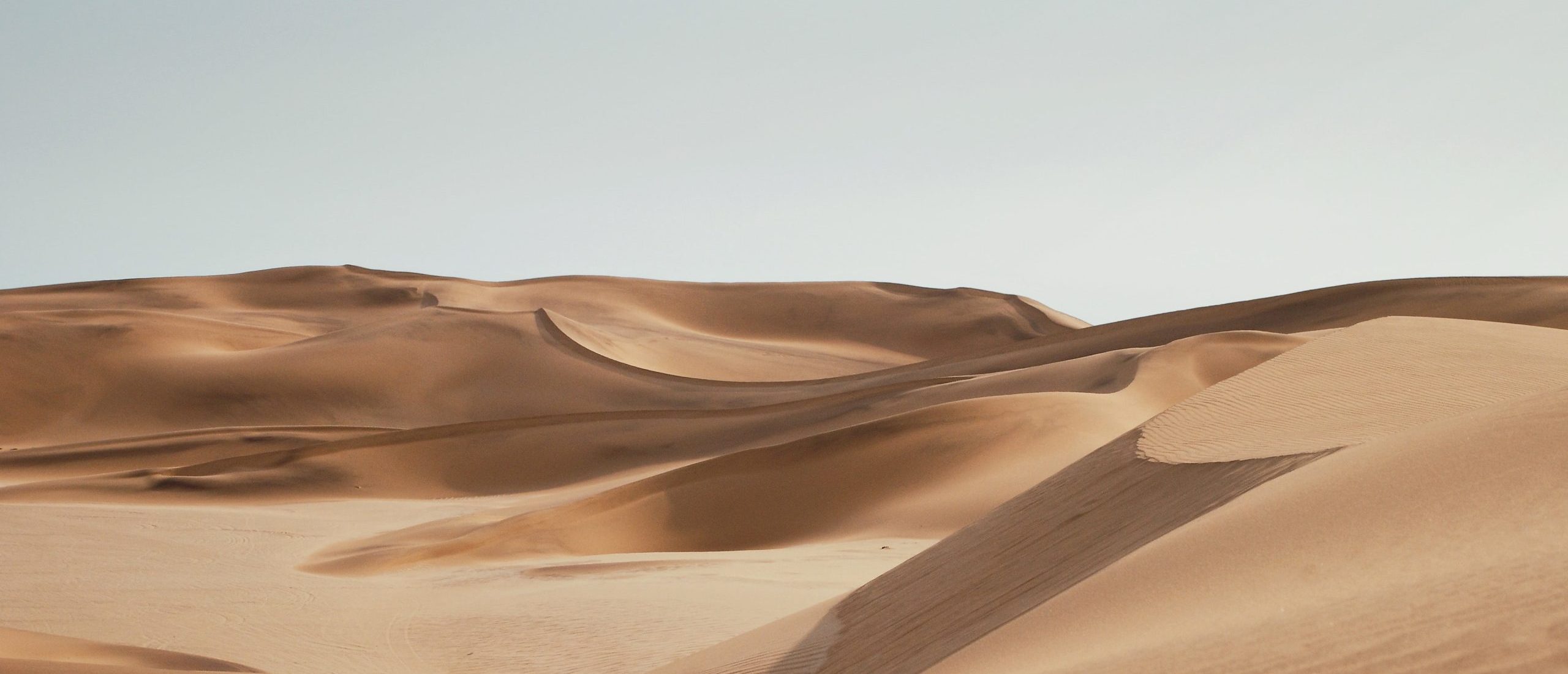 Desert Safari