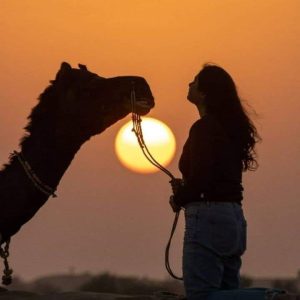 camle sunset