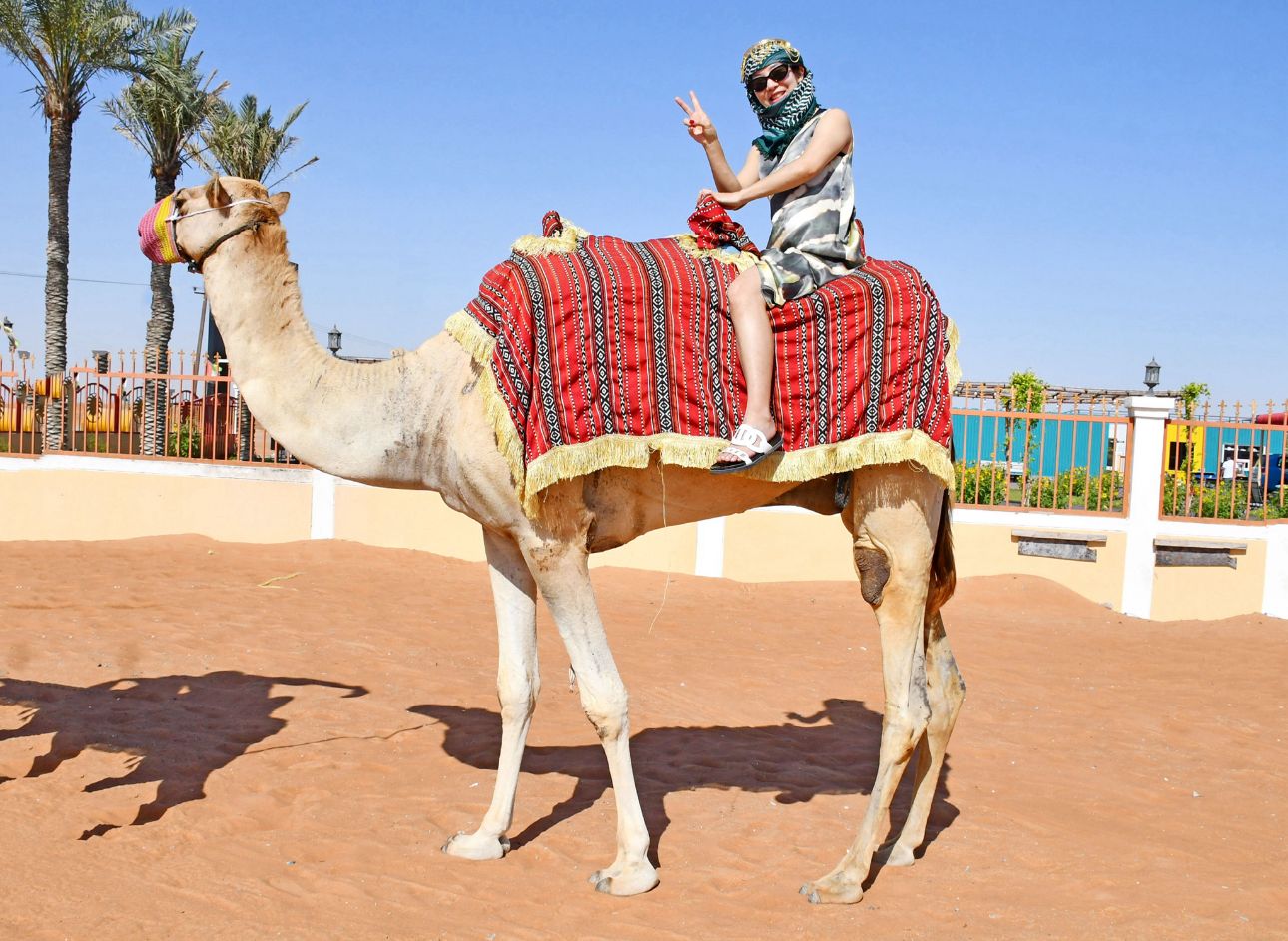 Morning desert safari with camel rid